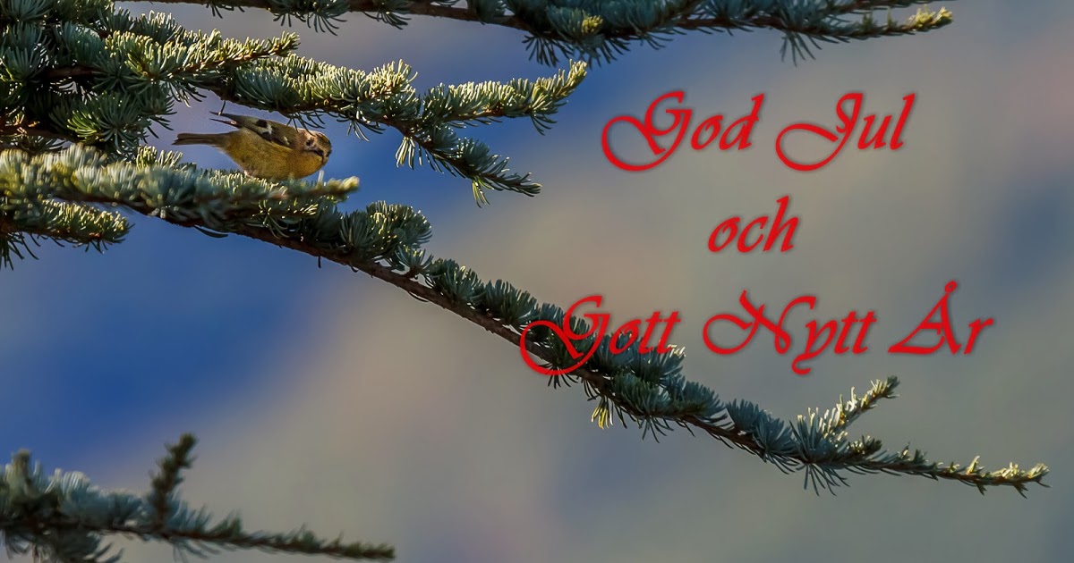 God jul och gott nytt år 2