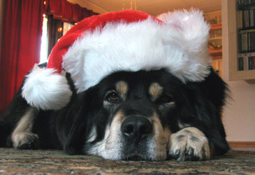 JUL.png